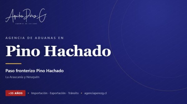 Agencia de Aduanas en Pino Hachado, agente de aduanas con más de 35 años